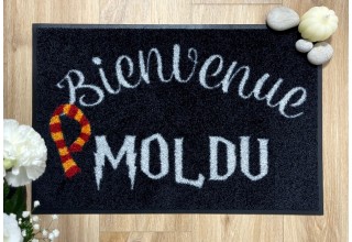 Bienvenue Moldu